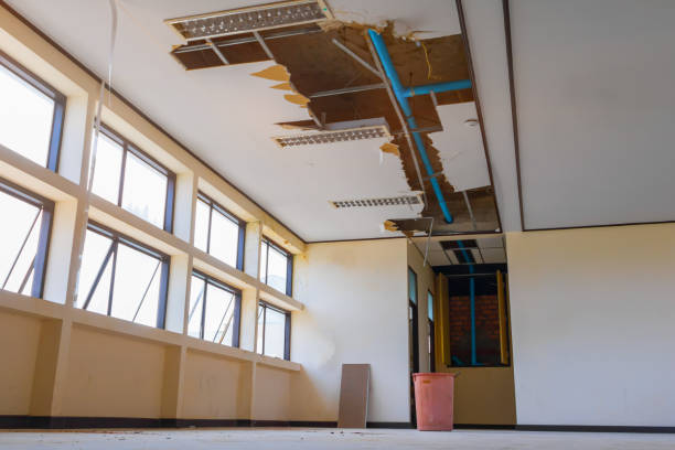 Trusted Kittitas, WA Water damage restoration Experts