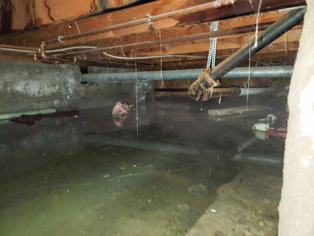 Local water damage restoration in Kittitas, WA