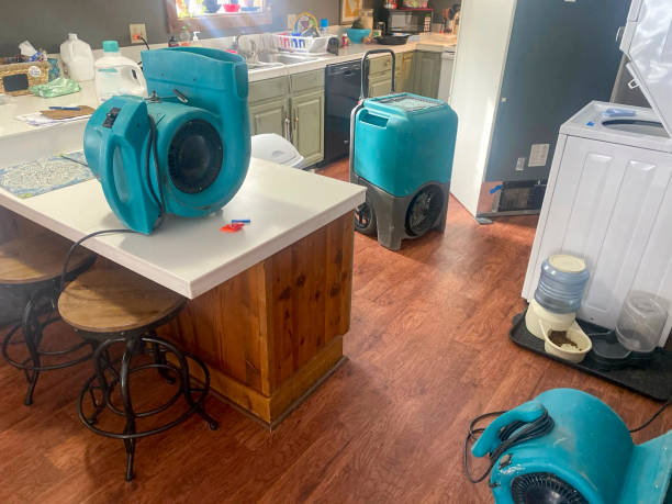 Best Water damage repair service  in Kittitas, WA