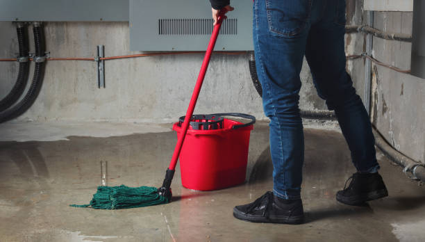 Best Professional water damage repair  in Kittitas, WA