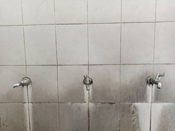 Best Fire Damage Restoration  in Kittitas, WA
